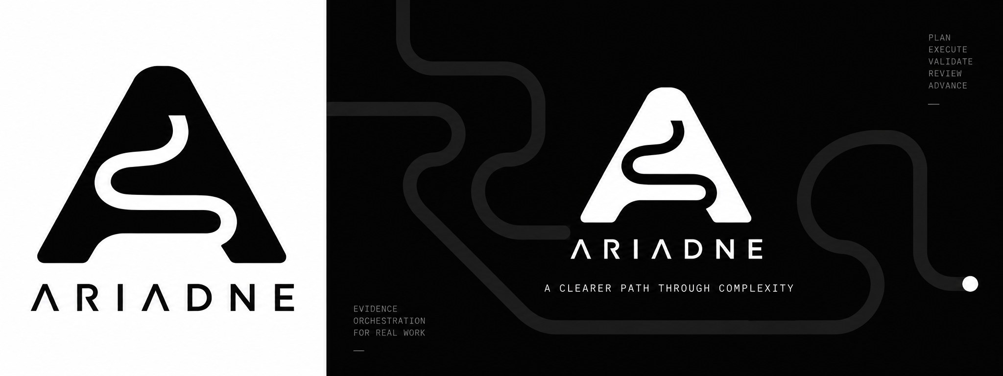 Ariadne's identity panel: the labyrinth A mark and wordmark across a split white-and-black plate, annotated with the workflow's five verbs (plan, execute, validate, review, advance), and the line 'a clearer path through complexity'.